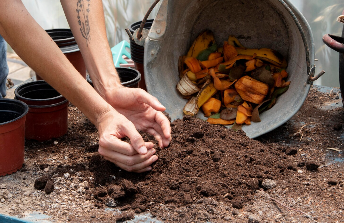 Cara Membuat Kompos Dari Sampah Organik, Yuk Ketahui!