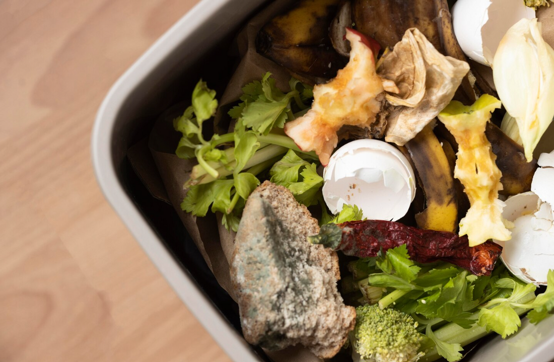 Cara Pemanfaatan Sampah Organik Untuk Lingkungan Yang Lebih Baik