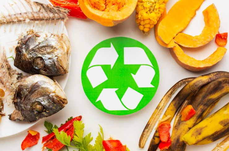 Contoh Daur Ulang Sampah Organik, Menjaga Lingkungan dengan Cara Kreatif!