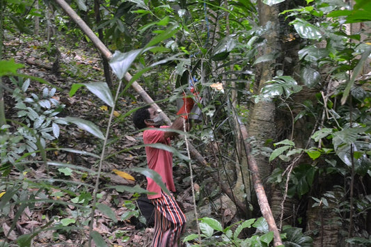 Apa Itu SDG? Pengertian, Manfaat, dan Kaitannya dengan CSR