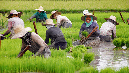 Dampak CSR terhadap Reputasi/Citra Sebuah Brand/Merek